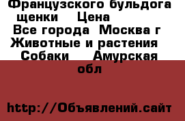 Французского бульдога щенки  › Цена ­ 35 000 - Все города, Москва г. Животные и растения » Собаки   . Амурская обл.